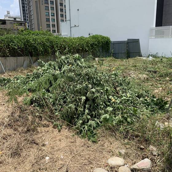 台中市西屯割草
